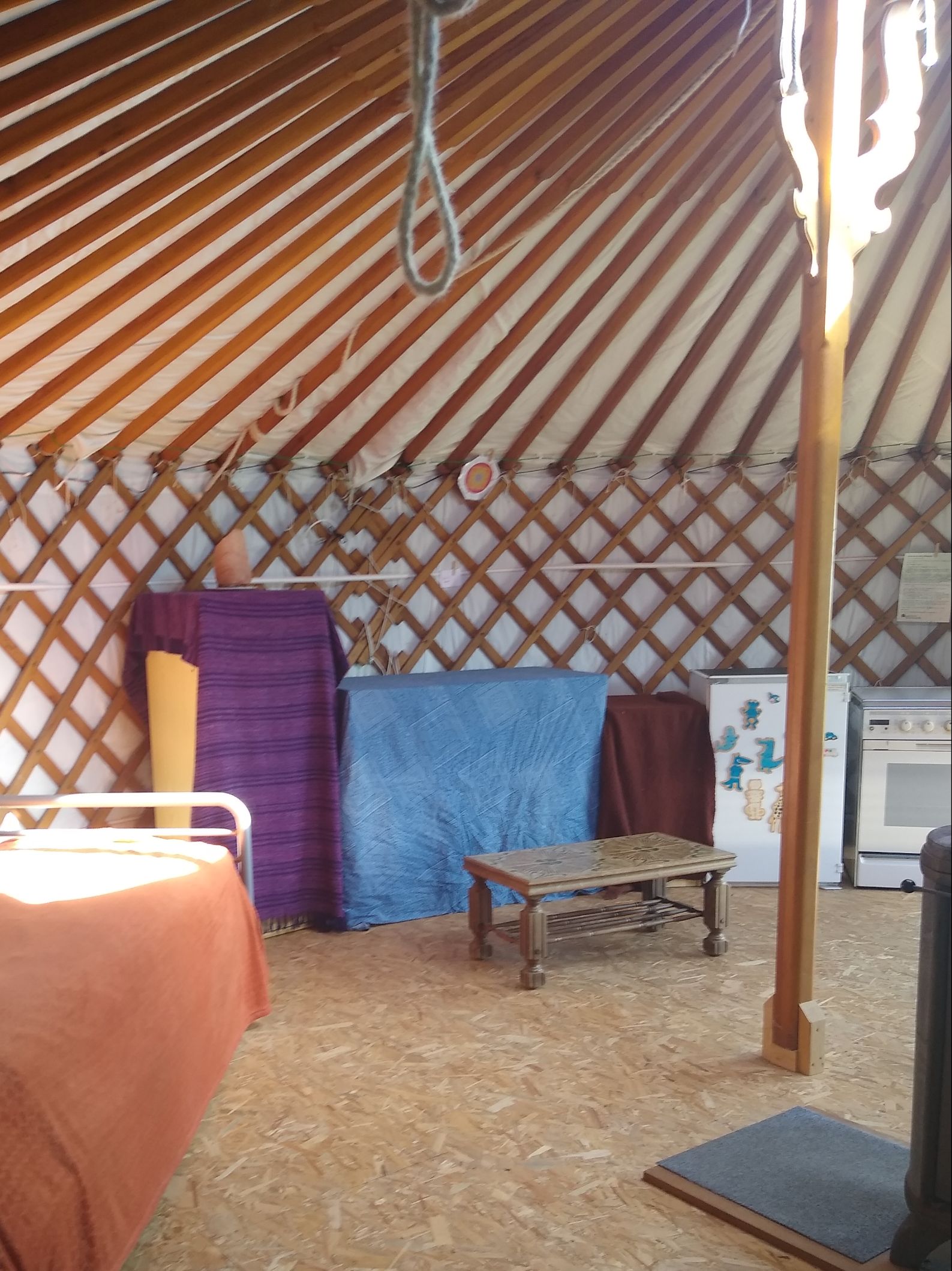 YourteConnect - 6-muurs yurt 6500 euro - 3