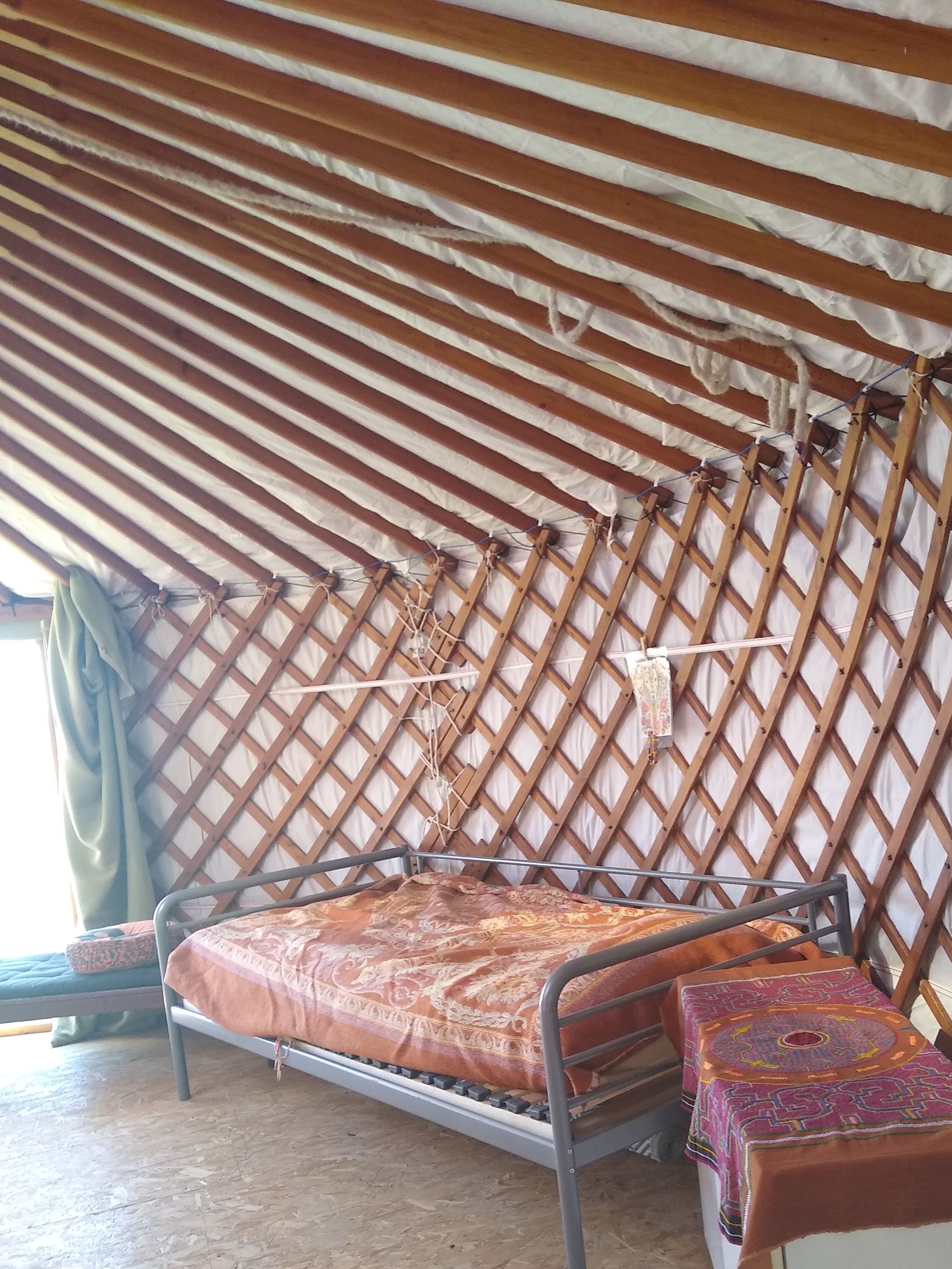 YourteConnect - 6-muurs yurt 6500 euro - 4