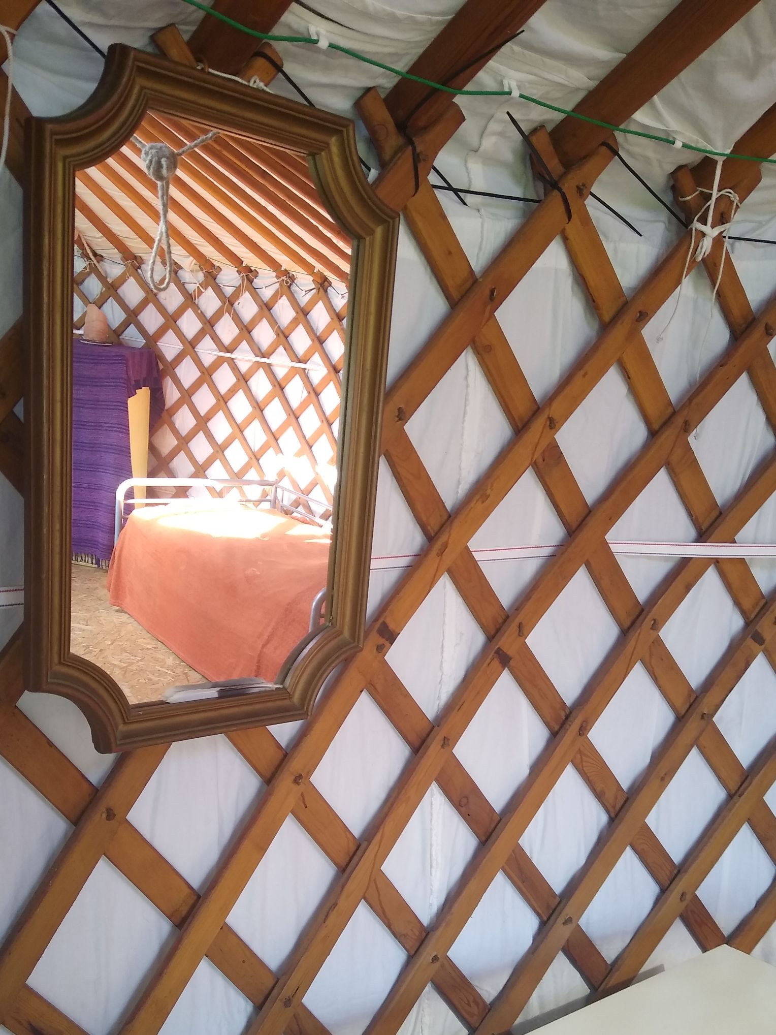 YourteConnect - 6-muurs yurt 6500 euro - 5