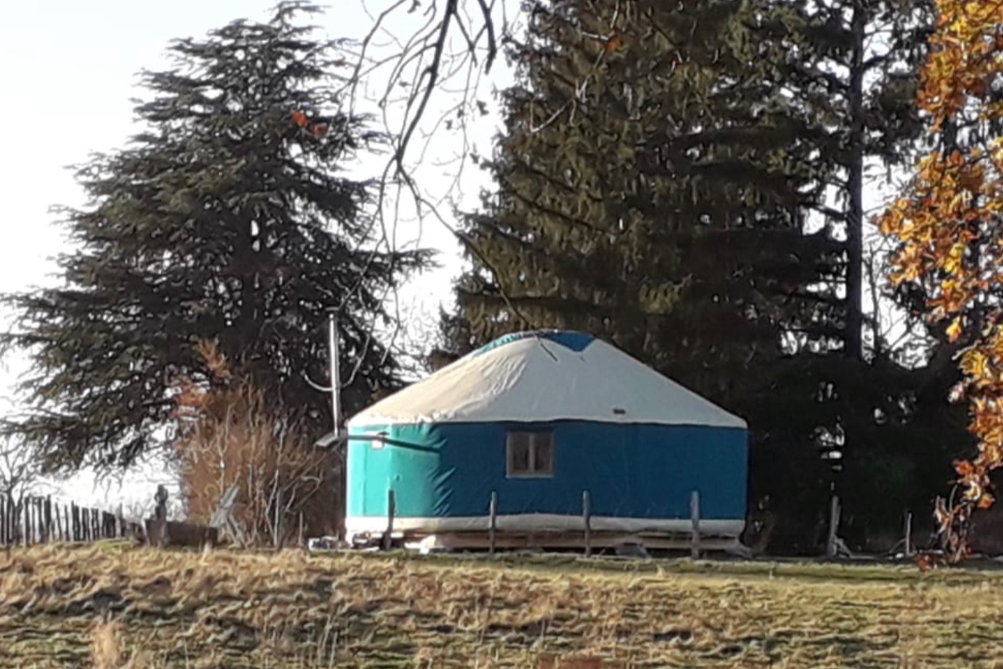 Yourte Connect - Yourte contemporaine 50m2