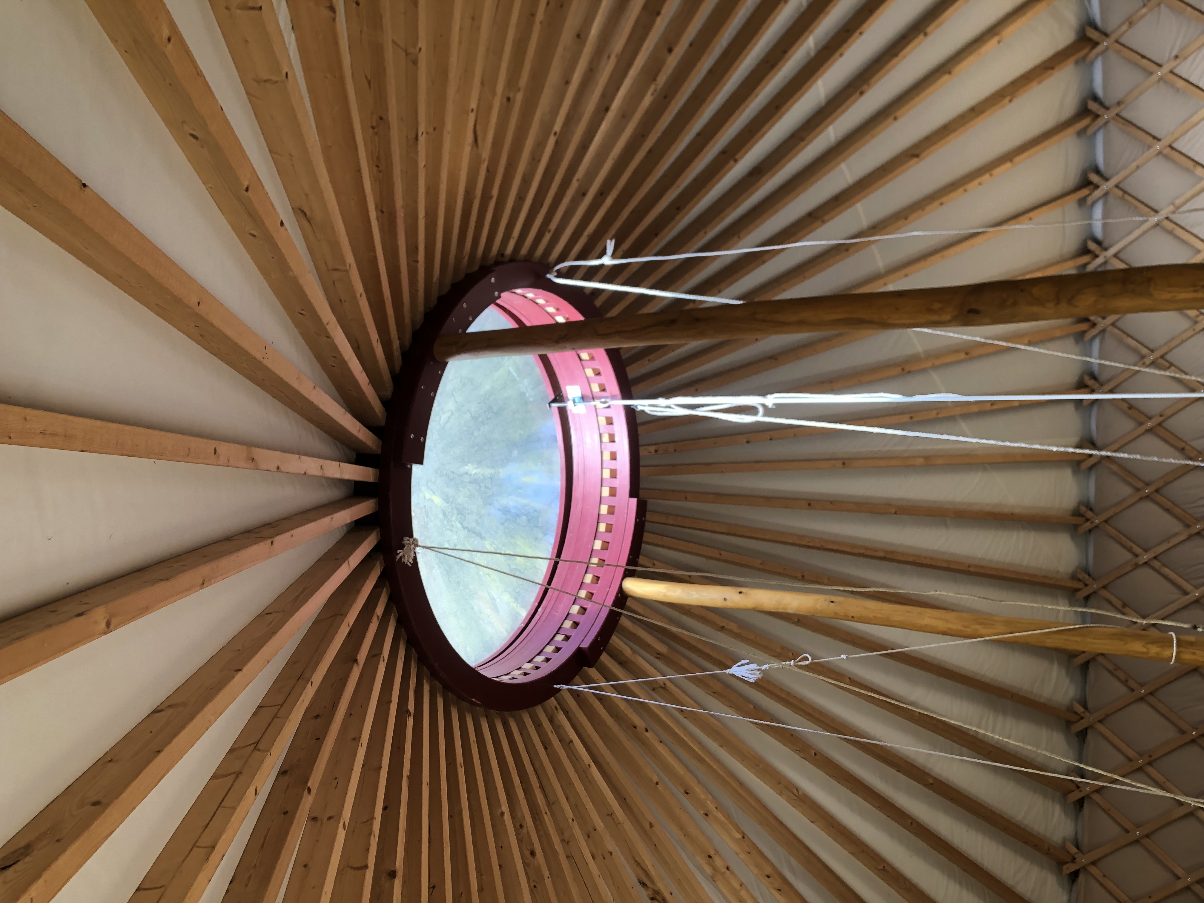 YourteConnect - Yourte ERP 8m de diamètre - 3