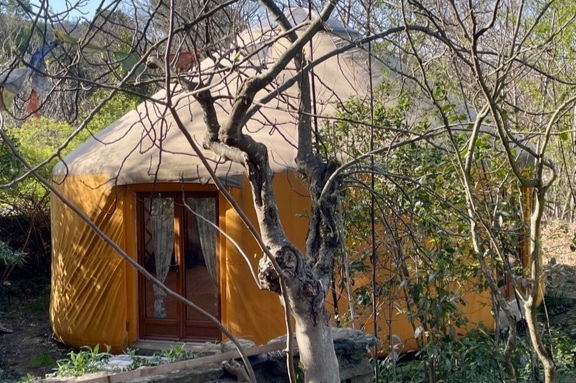 YourteConnect - Yourte tournesol 50m2 - 1